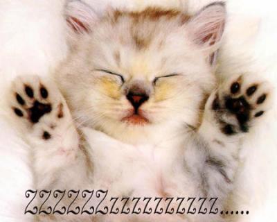 El SaLuDo DeL pRiNcIpIo